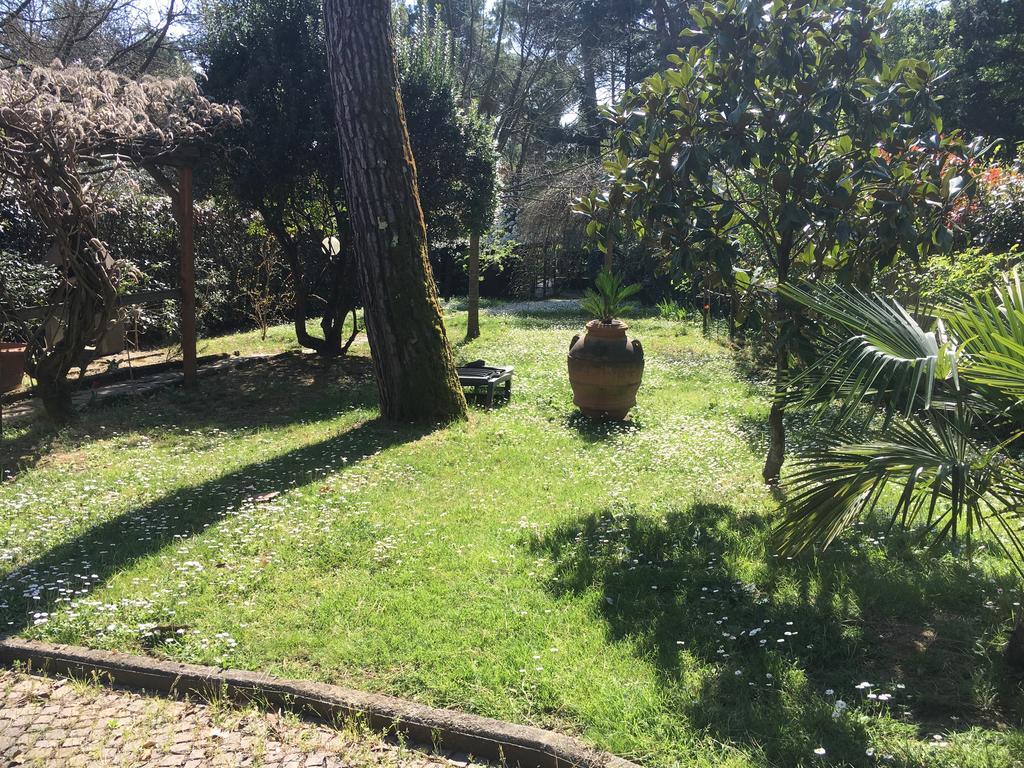 Old Town In The Green: Federico'S Apartment. Φλωρεντία Εξωτερικό φωτογραφία