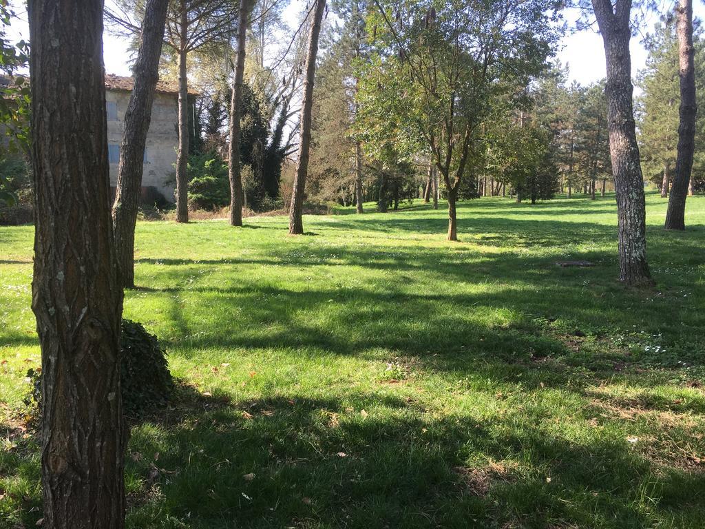 Old Town In The Green: Federico'S Apartment. Φλωρεντία Εξωτερικό φωτογραφία